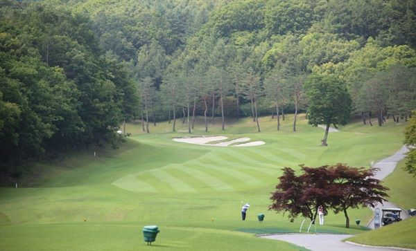 Maple Course