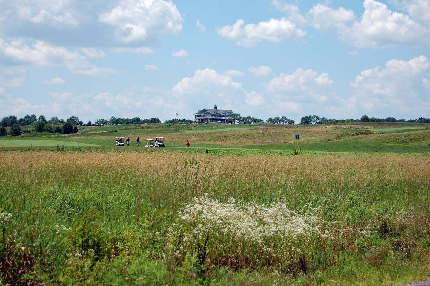 Meadow/Lake Course
