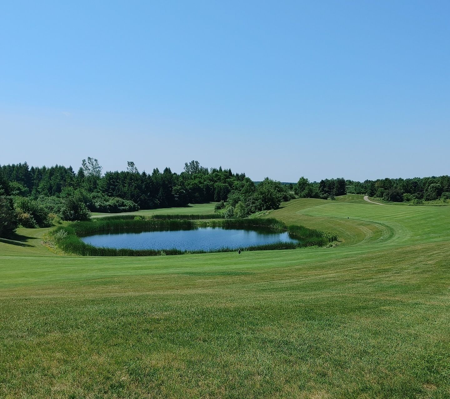 Victoria Park Valley Golf Club