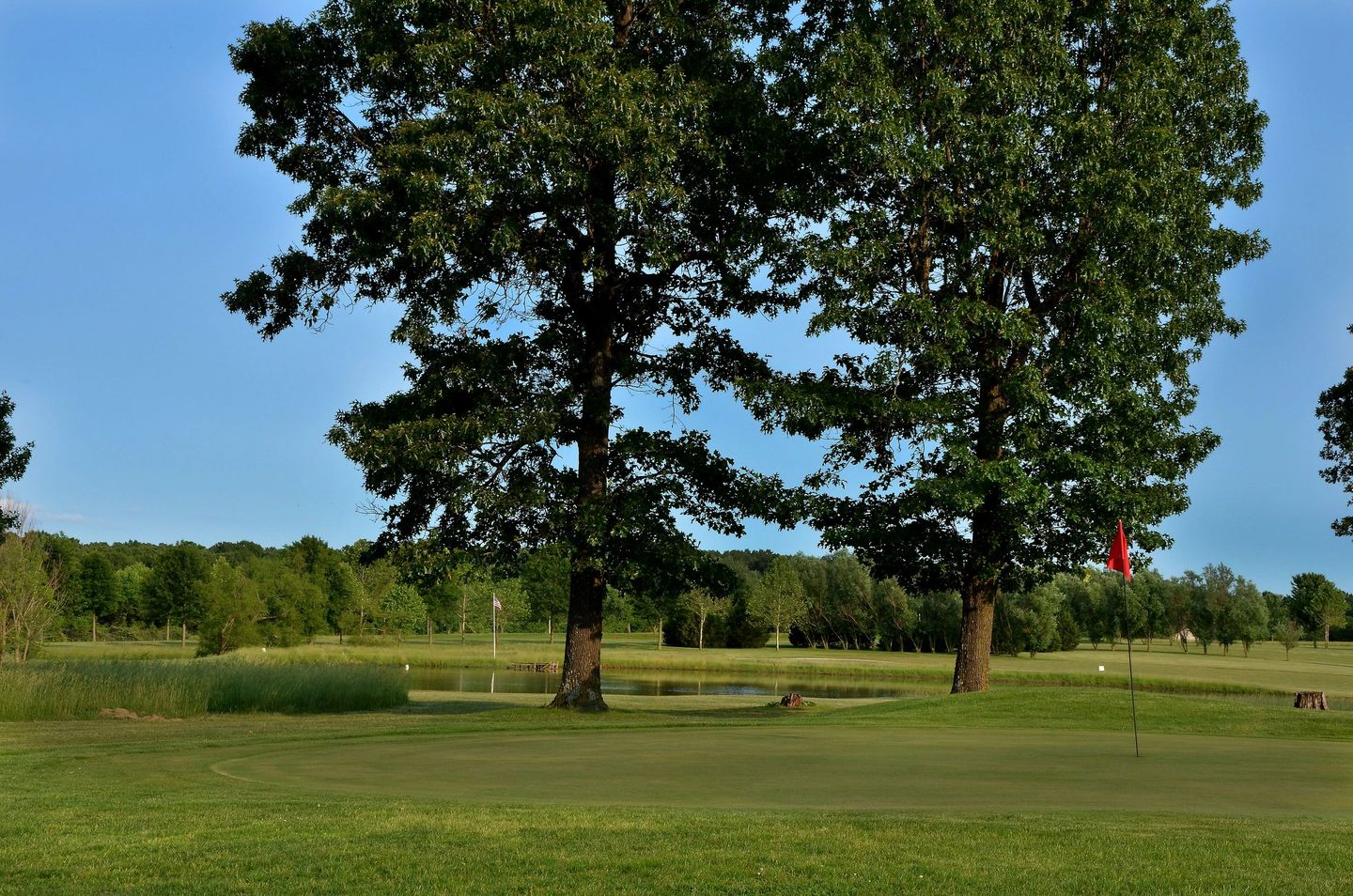 Dream Valley Golf Course