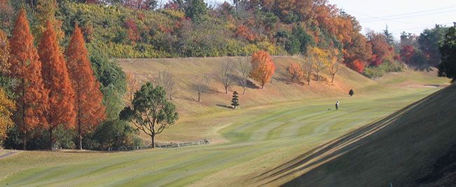 West/East Course