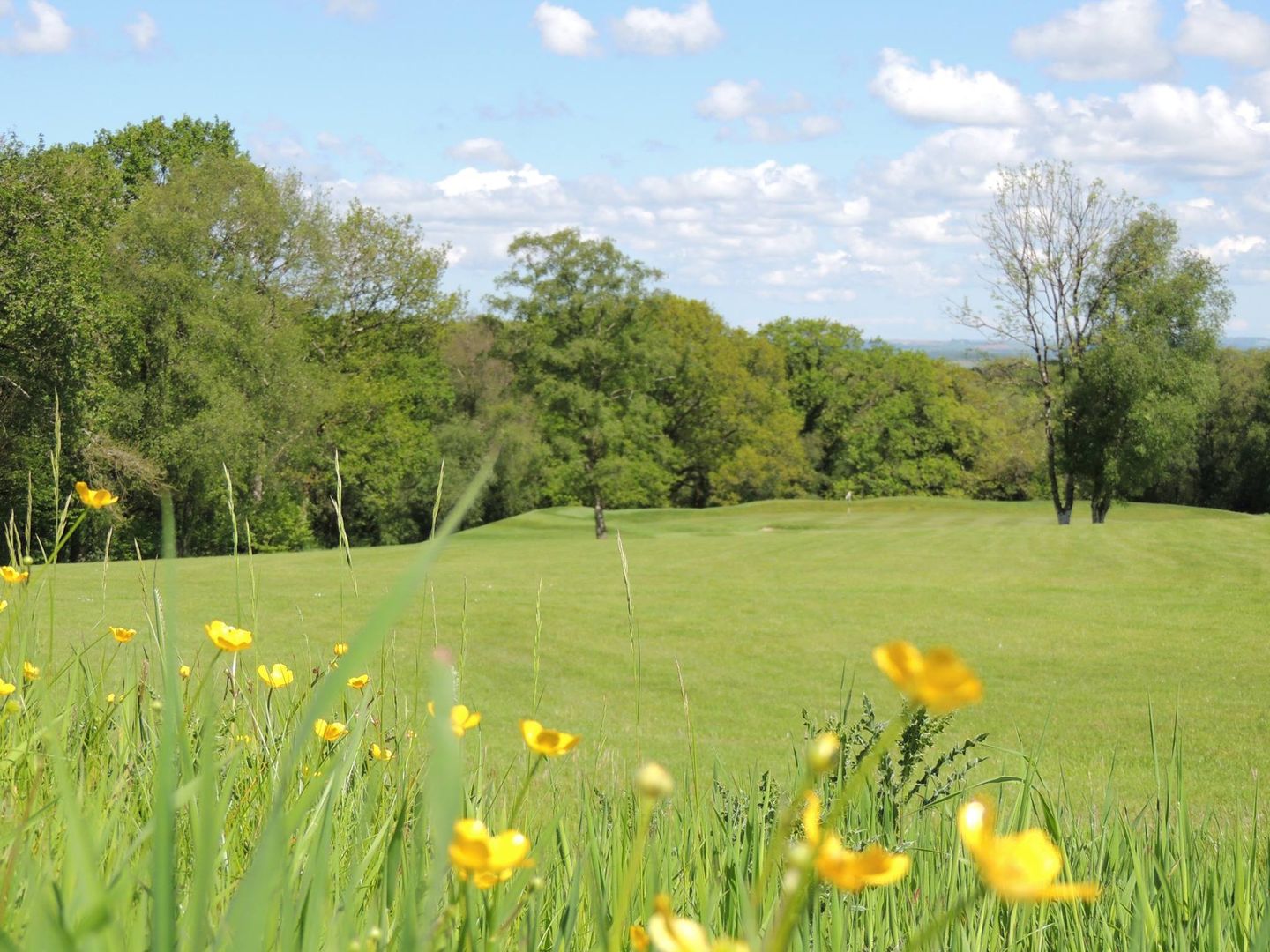 Beeches Course