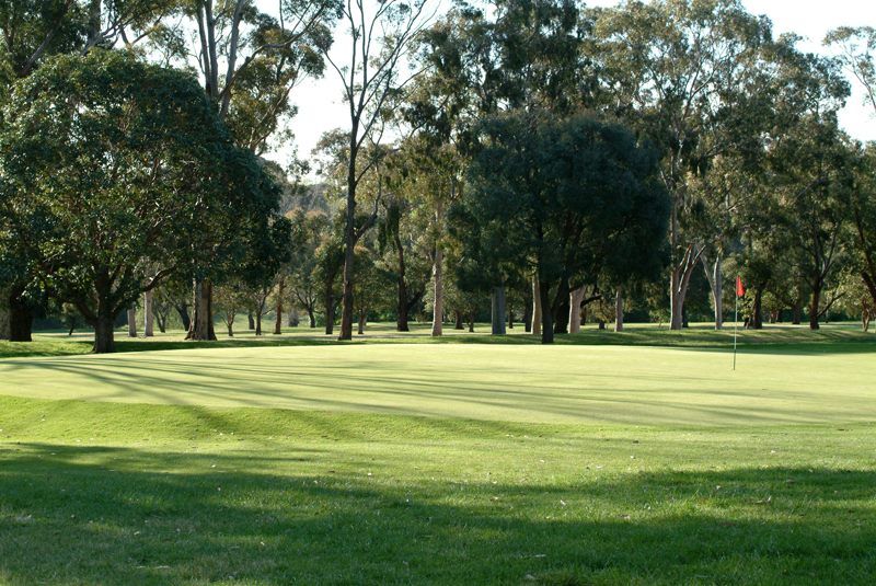 Wattle Park Public Golf Course