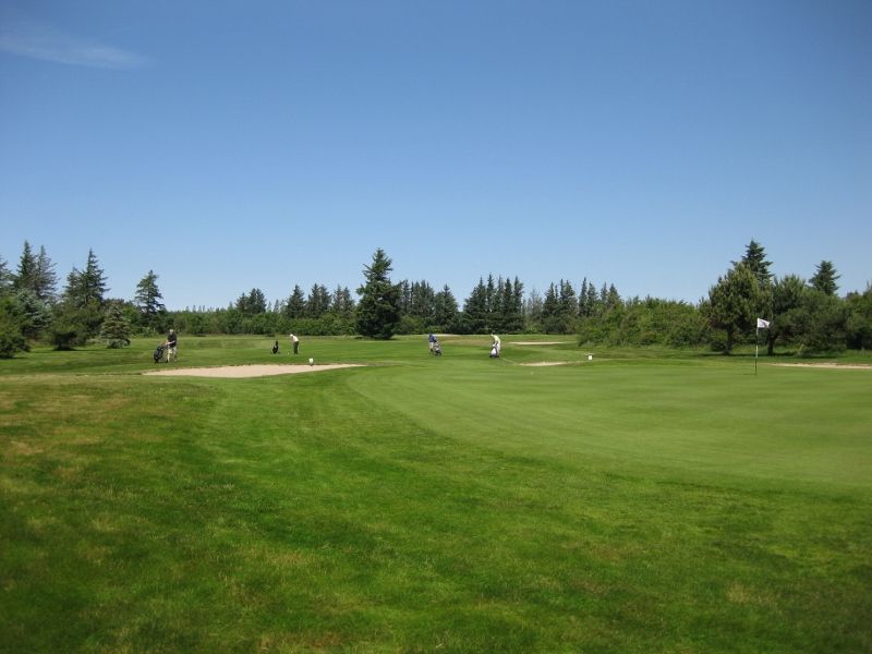 Blue/Yellow Course