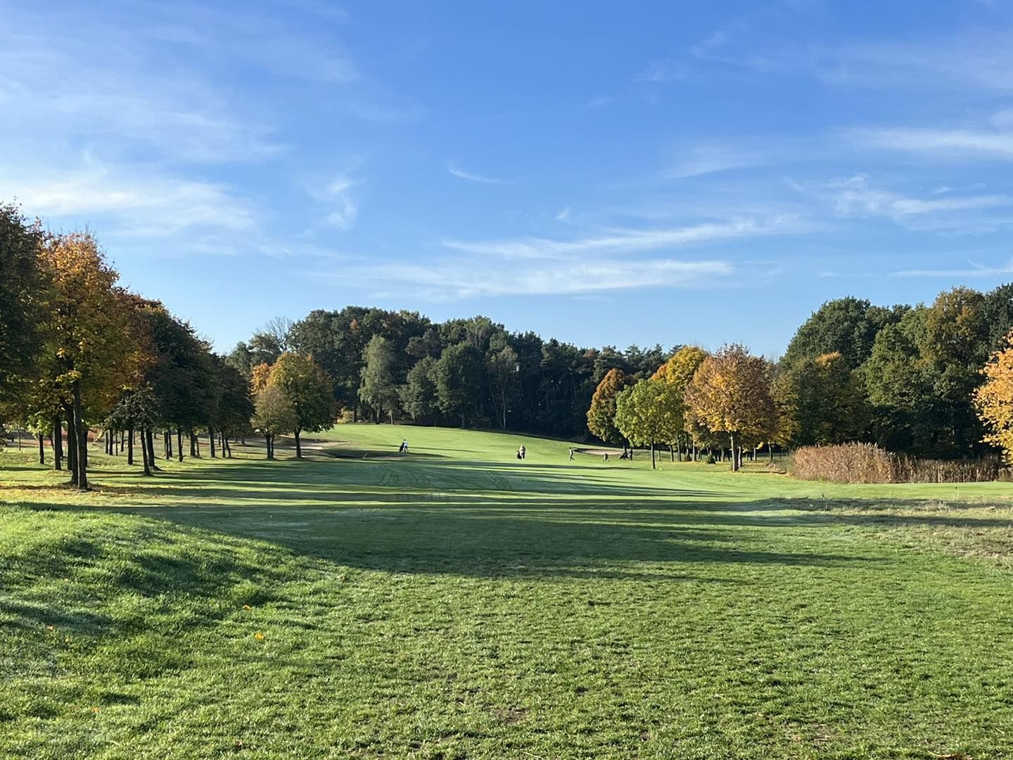 The Orchard Course