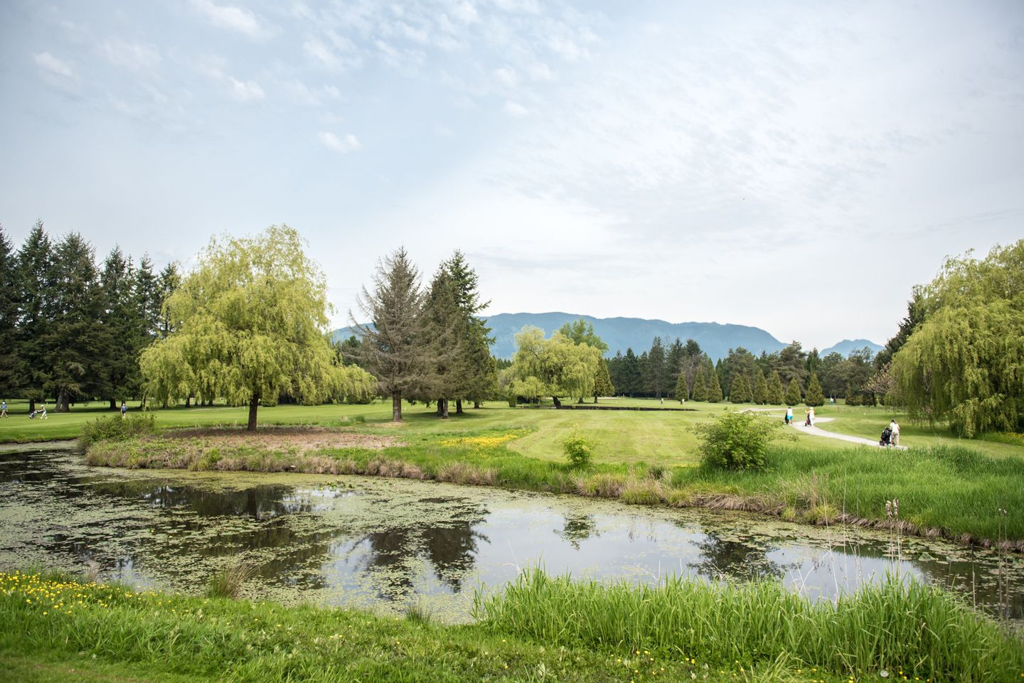Pitt Meadows Golf and Country Club