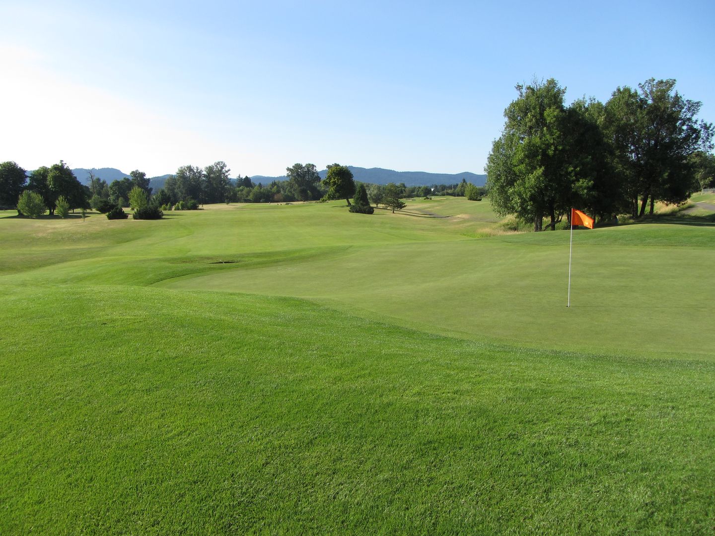 Trysting Tree Golf Club