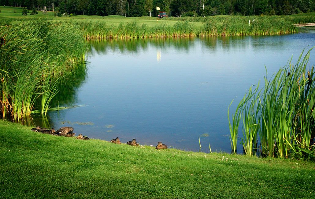 Clyde River Golf Club