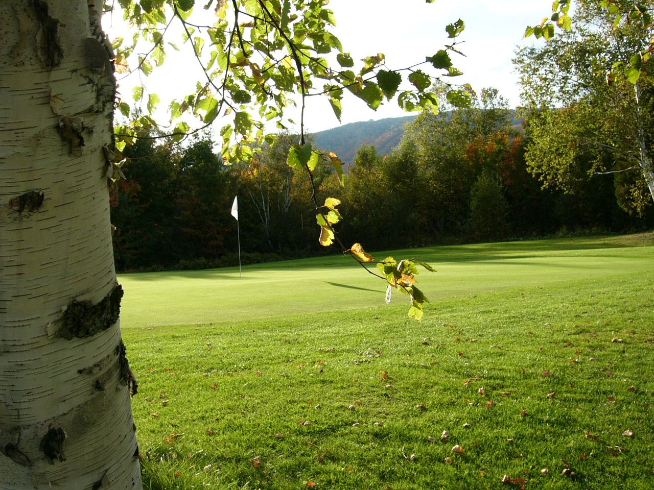 Club de Golf St-Ferreol
