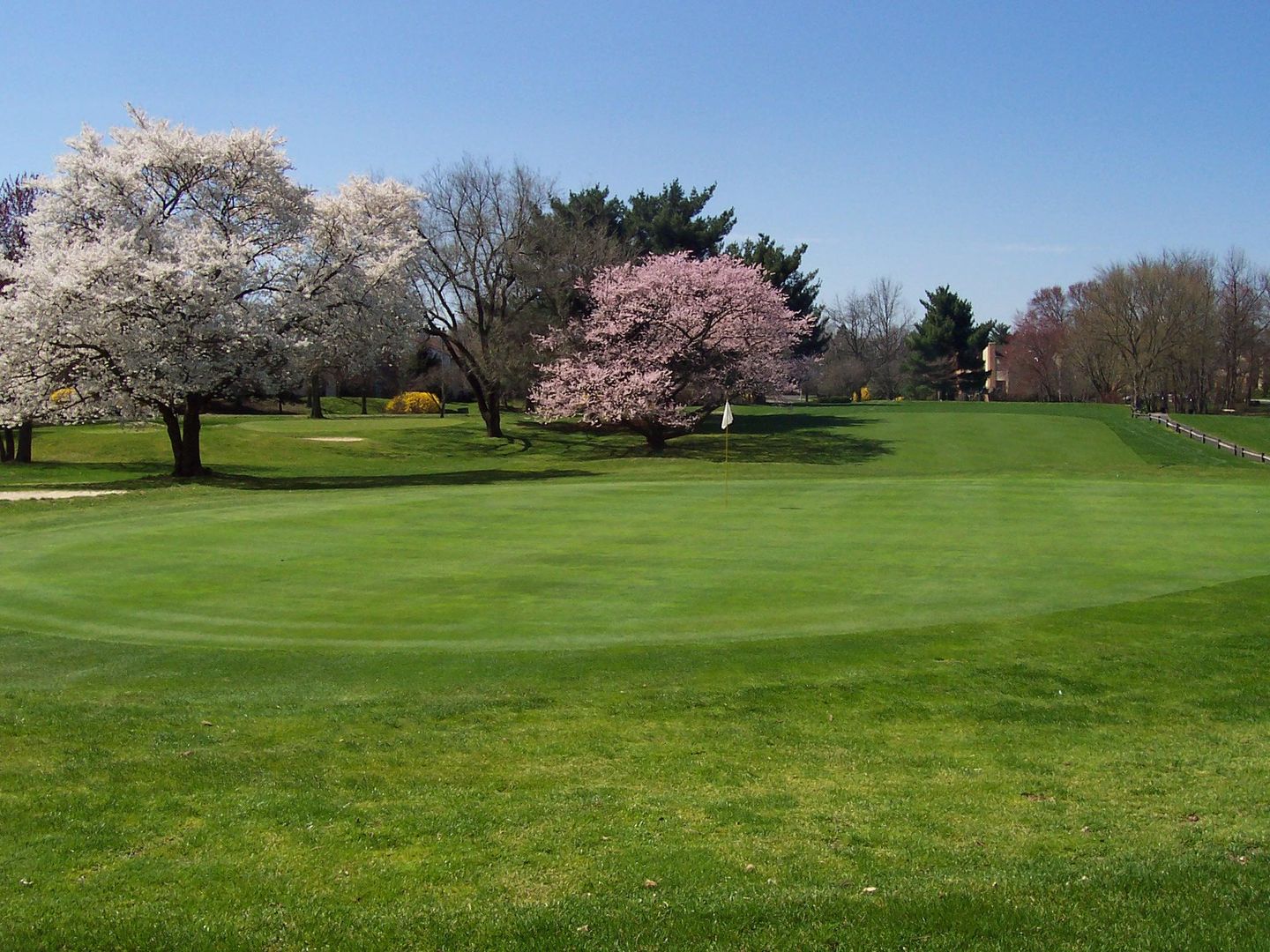 ramblewood country club dress code Ryann and Lauren vs Kyle and Luke. , Some good shots, some great shots, and some bad shots. , -, #Ramblewood #JawsGolf #GolfTok #NJGolf #TrendingGolf