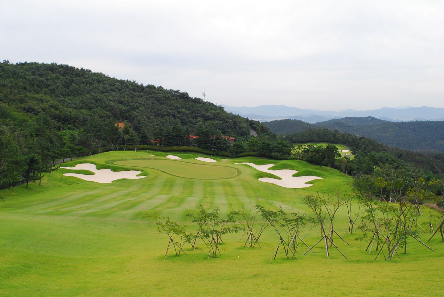 South Course