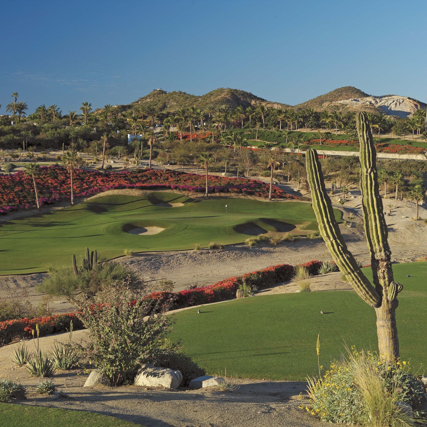 The Ocean/Arroyo Course