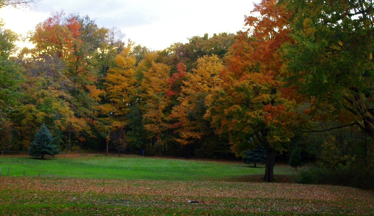 Hillview Golf Course