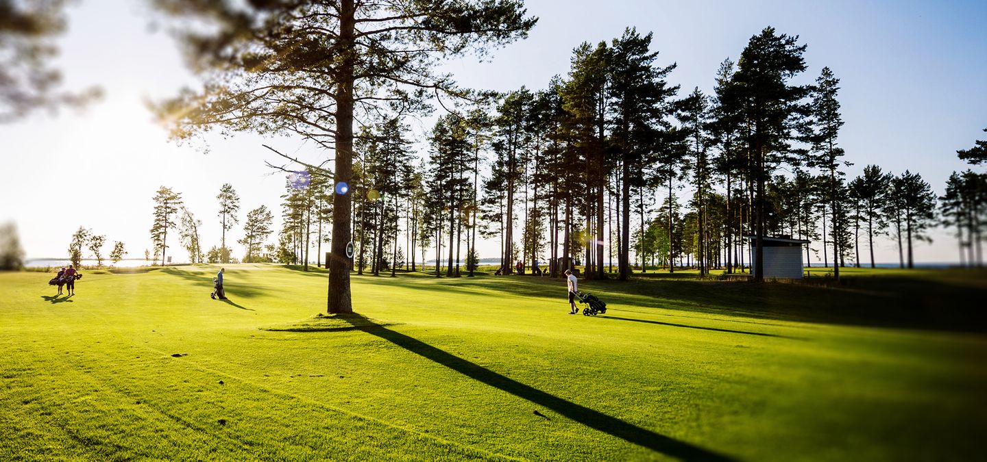 Virpiniemi Golf