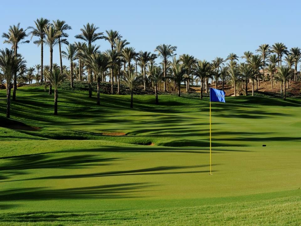 Palms Course