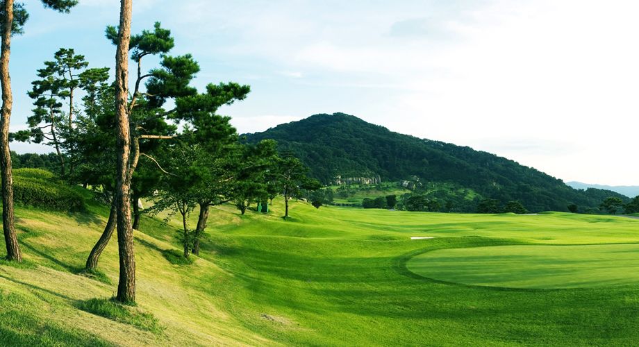 Bella Course