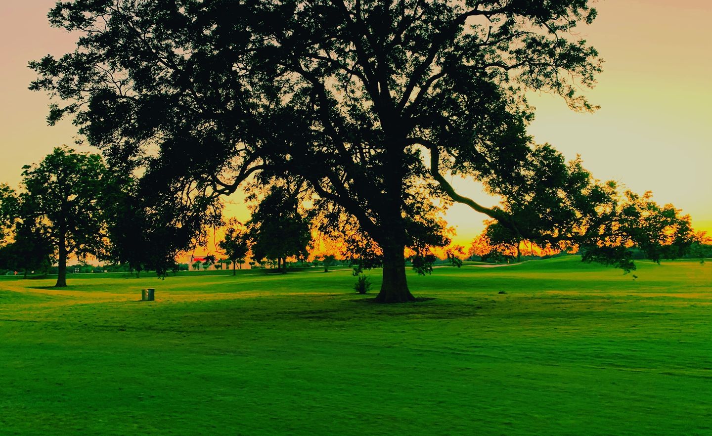 Grove/Plantation at Pecan Grove Plantation Country Club in Richmond