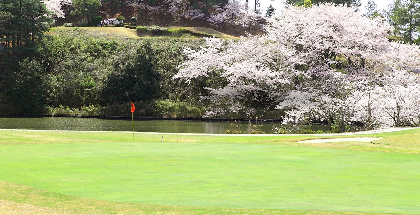 Kongo/Chihaya Course