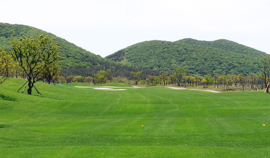 Campo Course