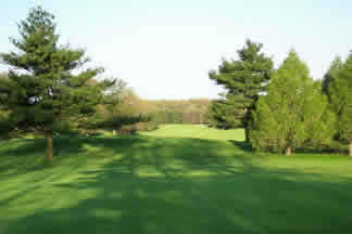 Hills/Woods