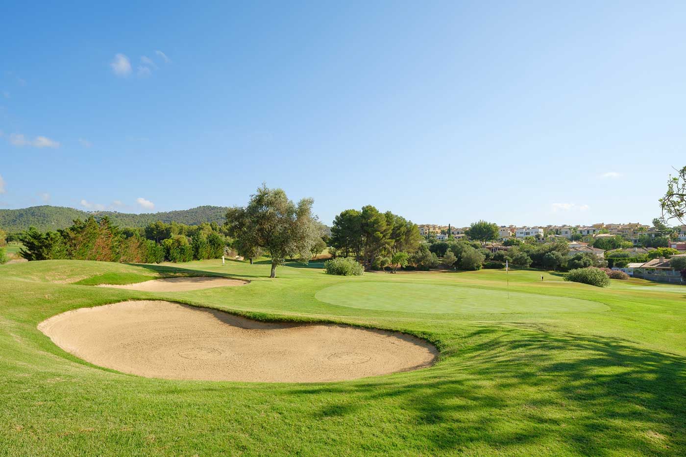 Palma Pitch & Putt
