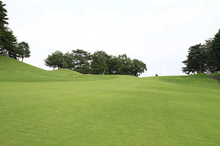 South Course
