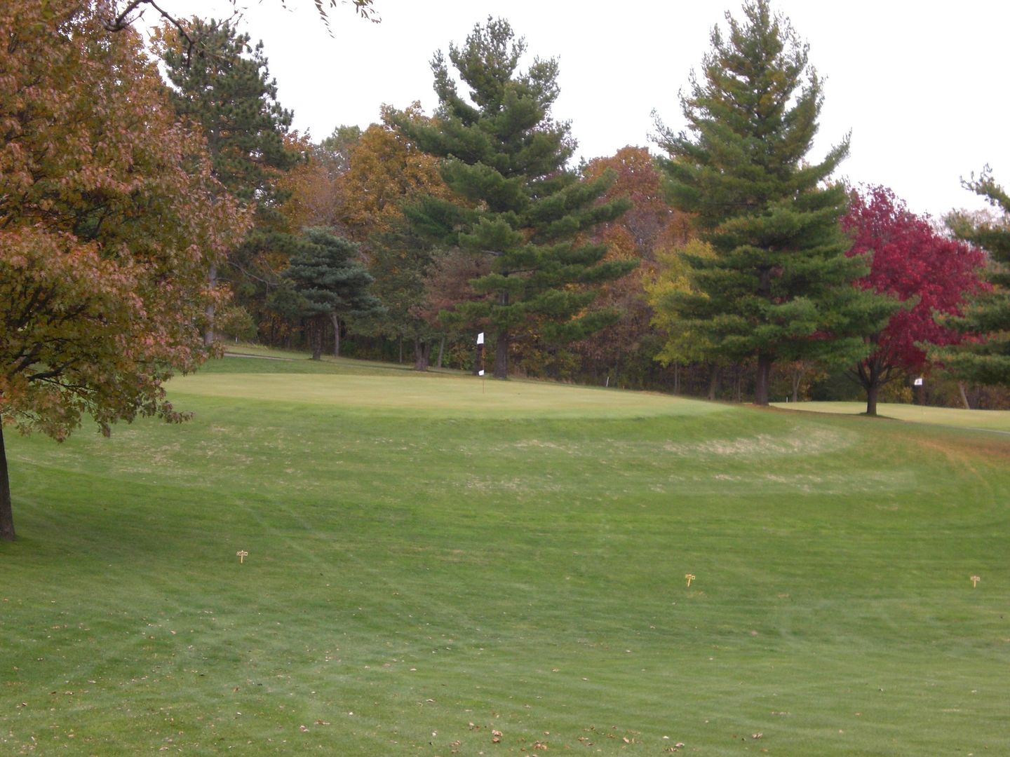 Kalona Golf Club