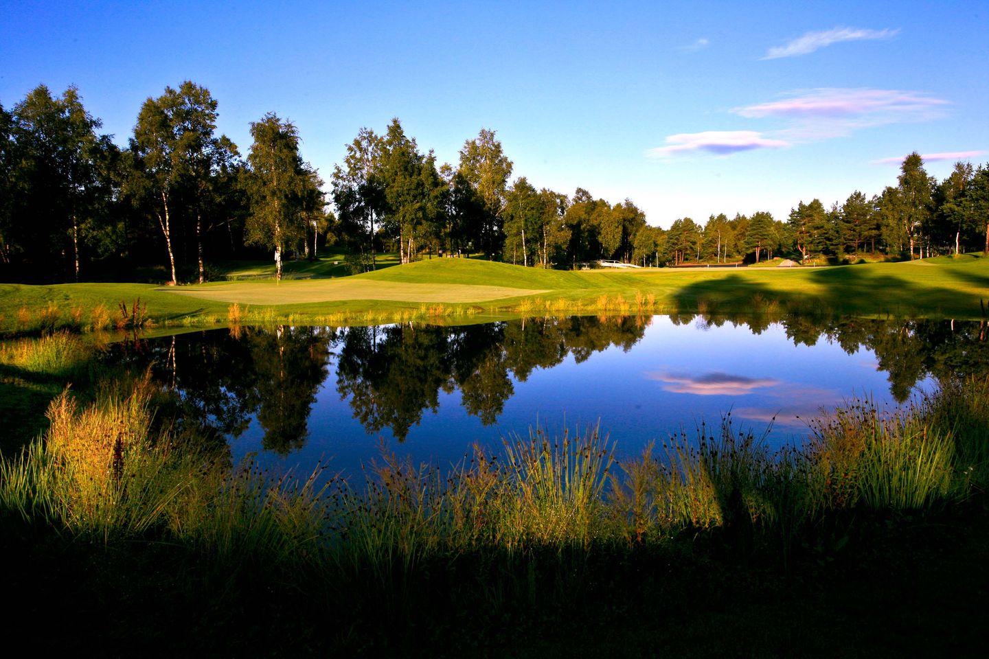 Short Course