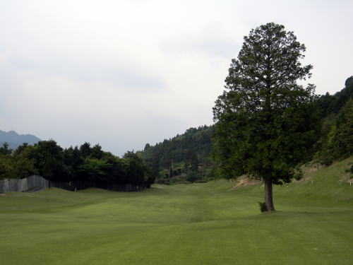 Saijo Golf Club