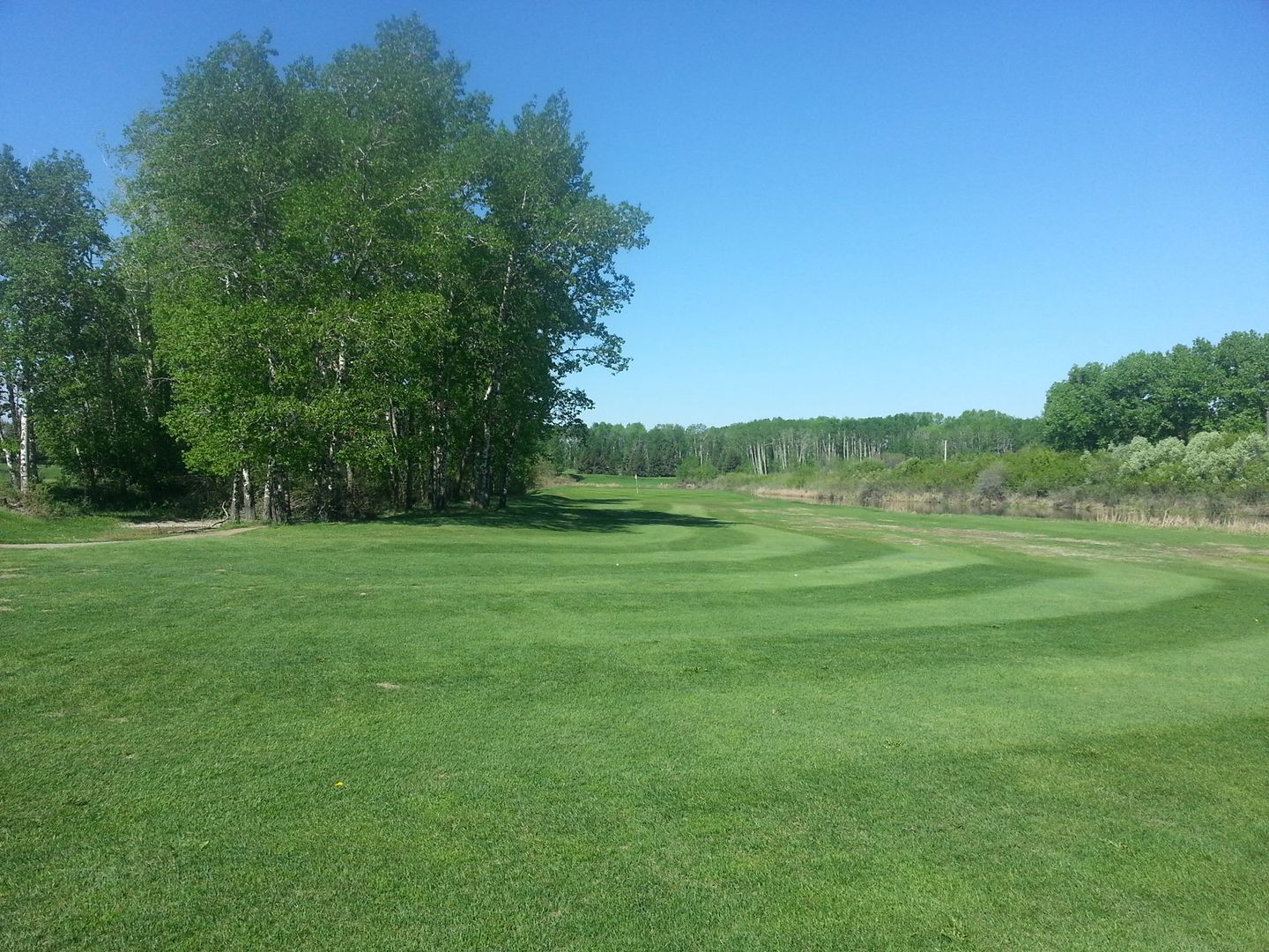 Pasquia Park Golf Club