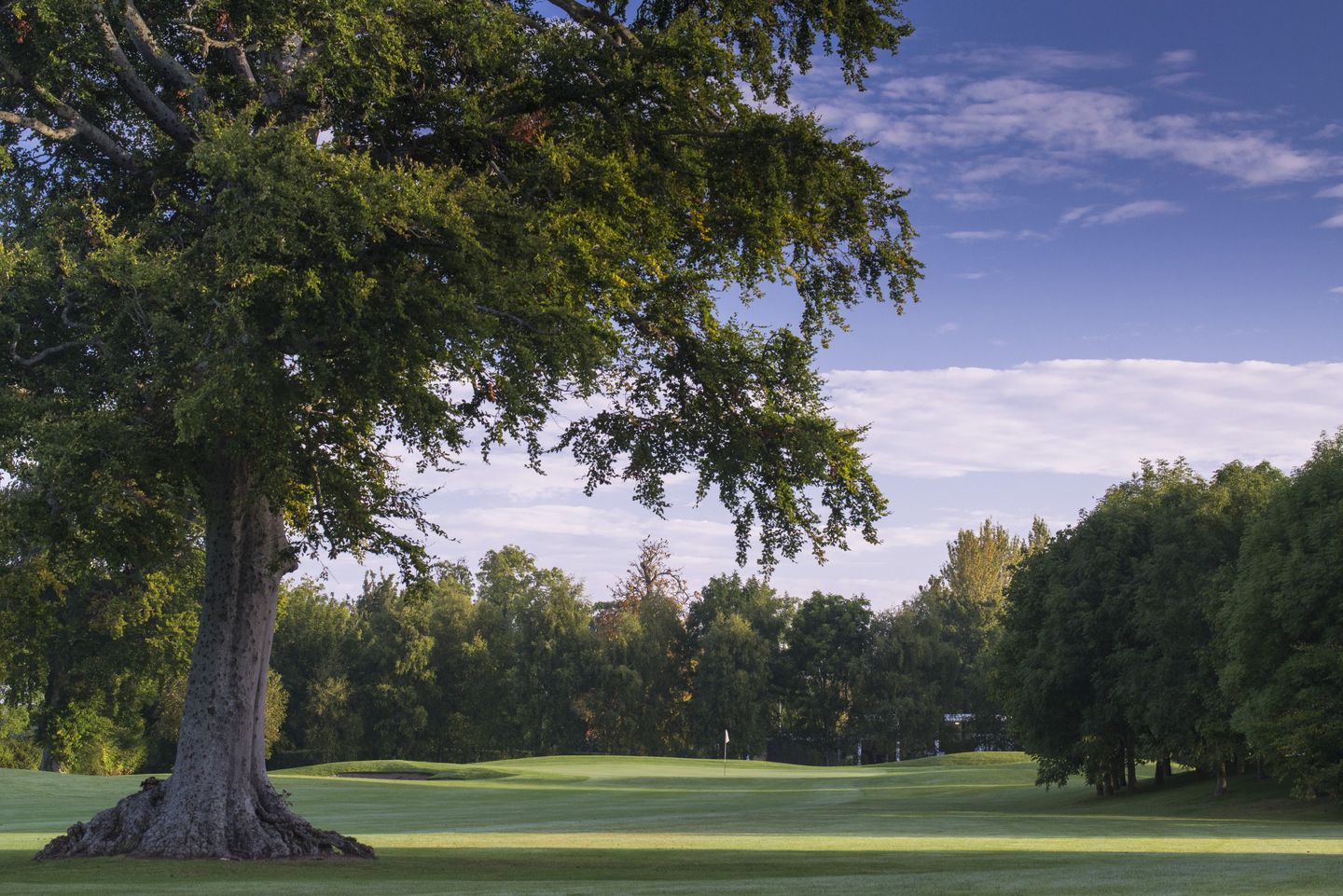 Grange Castle Golf Club in Clondalkin, County Dublin, Ireland GolfPass