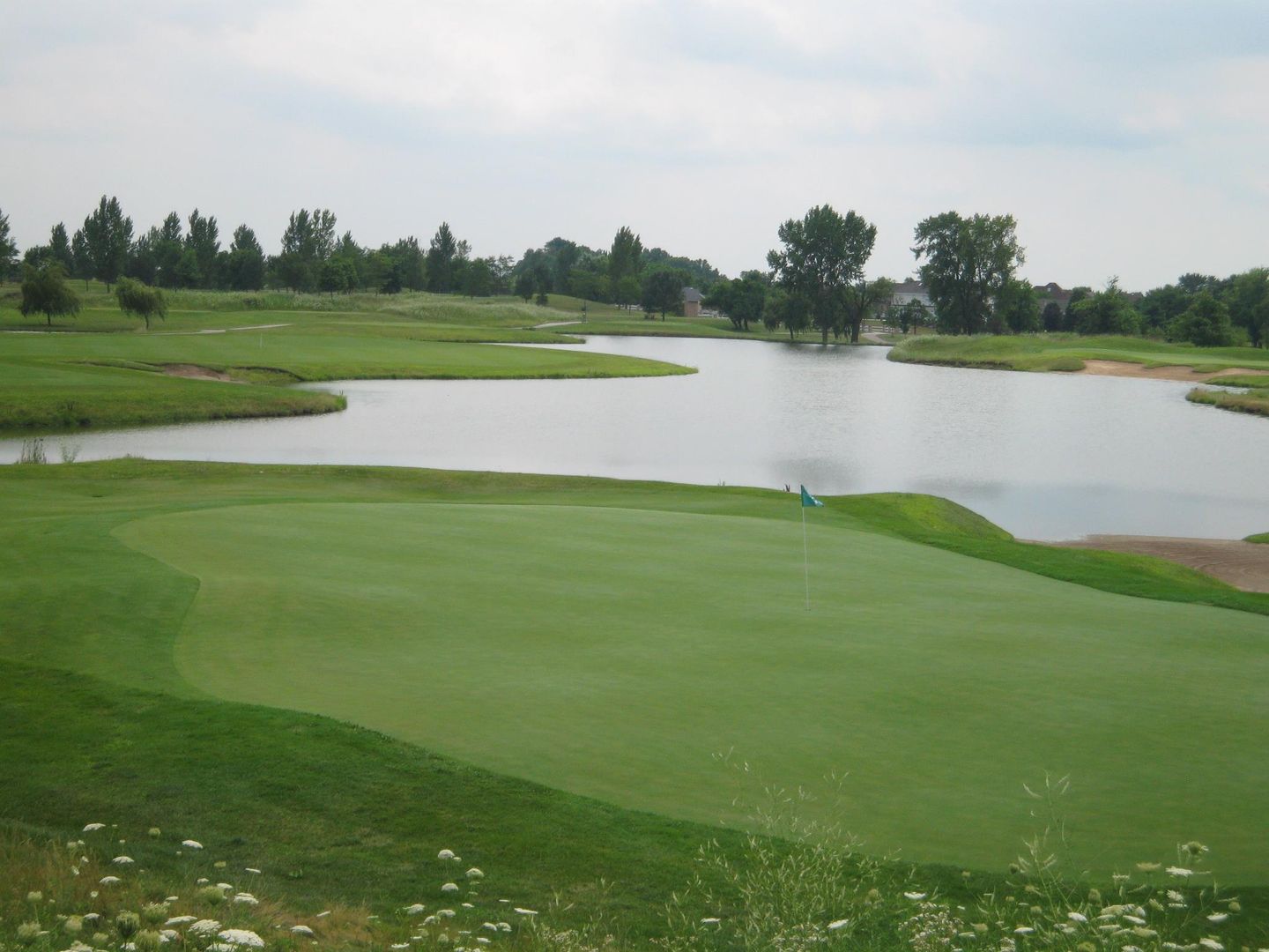 The Links