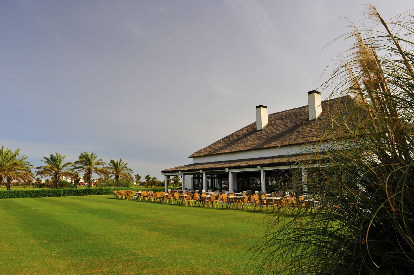 Los Ficus / Los Olivos