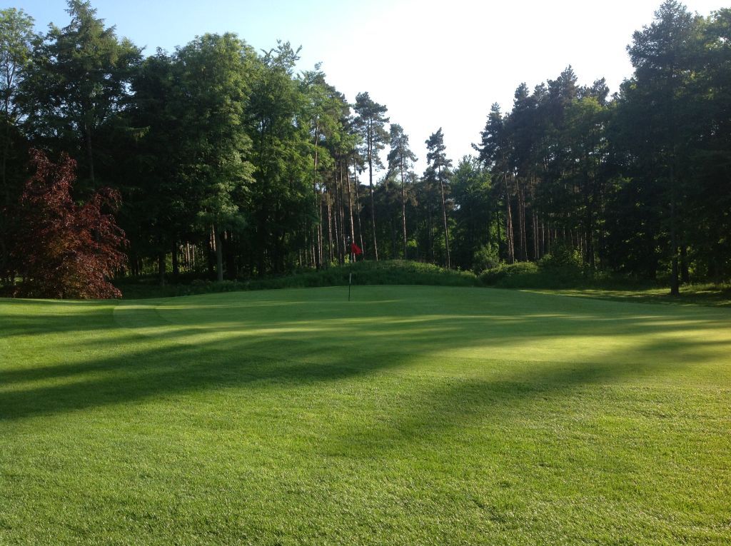 Pines Course