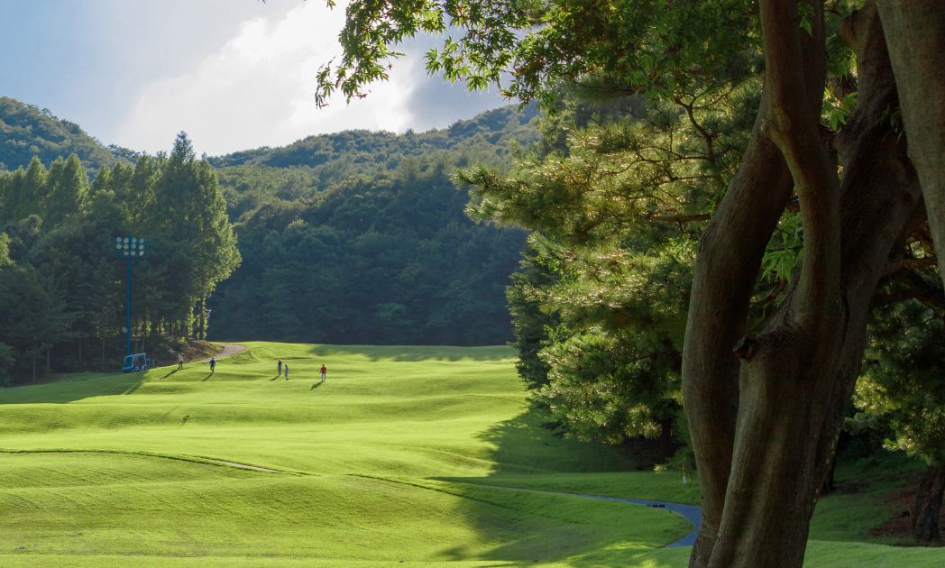 South Course