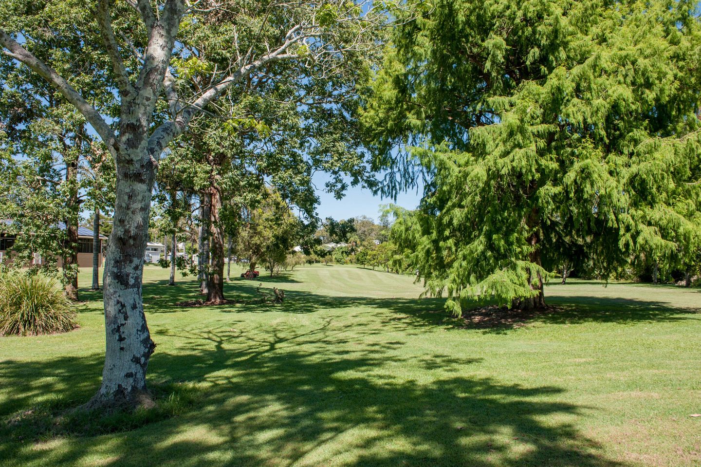 Bellingen RSL Golf Club