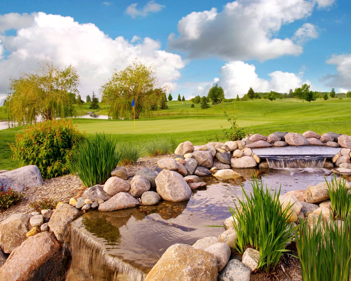 Rose Creek Golf Course