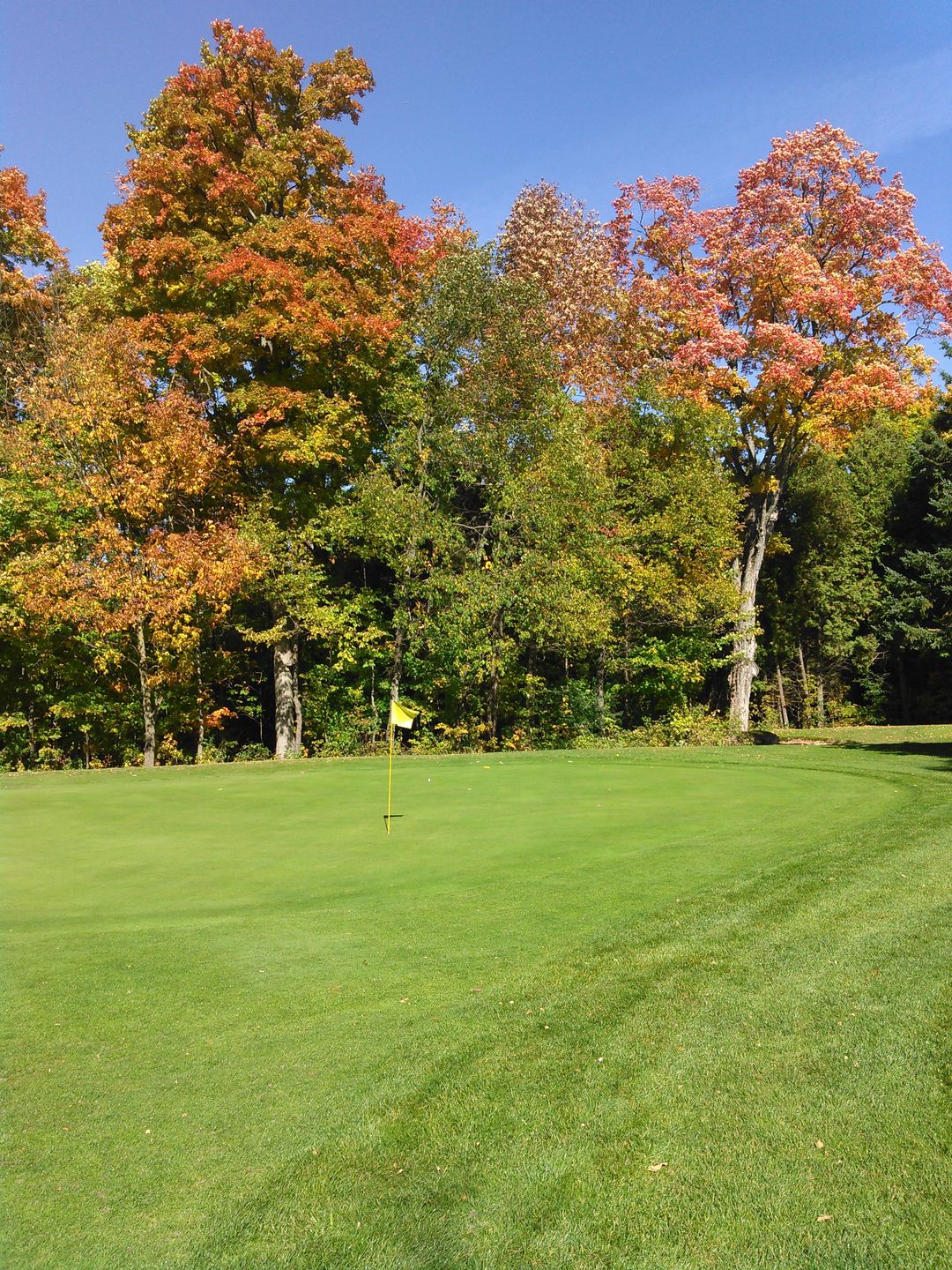 Senjan Woods Golf Club