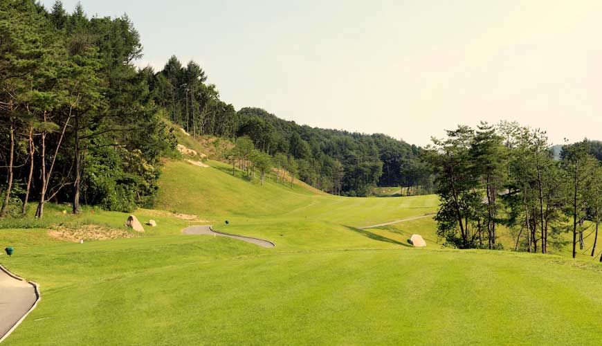 Nurikos Course