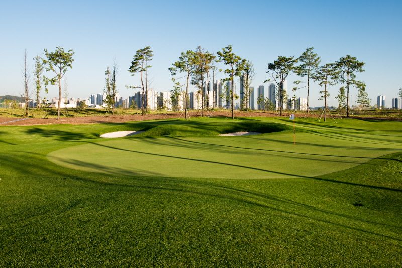 Bear's Best CheongNa Golf Club