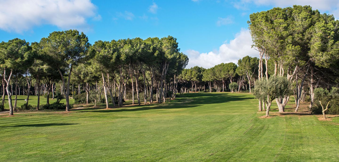 Golf Santa Ponsa II