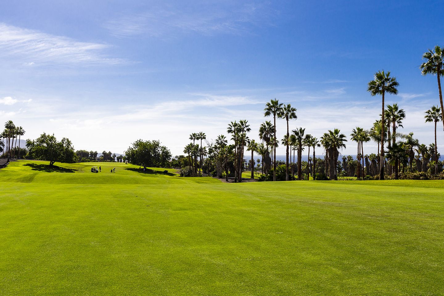 Costa Adeje Golf Club