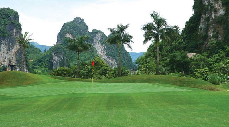 Phoenix Course