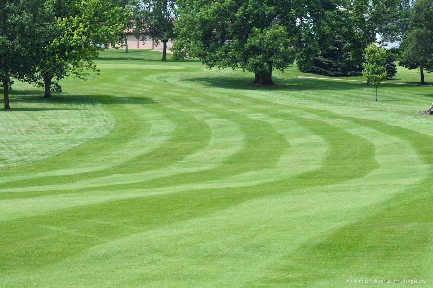 Tyler Community Golf Club