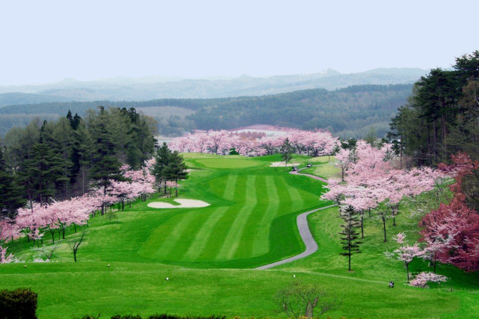 Cherry Blossom/Birch Course