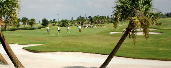 Turtle Mound