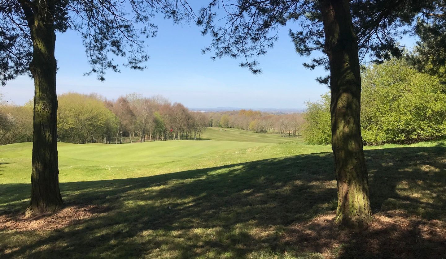 Gold Course