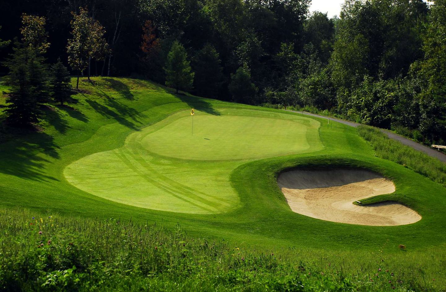 Forest Course