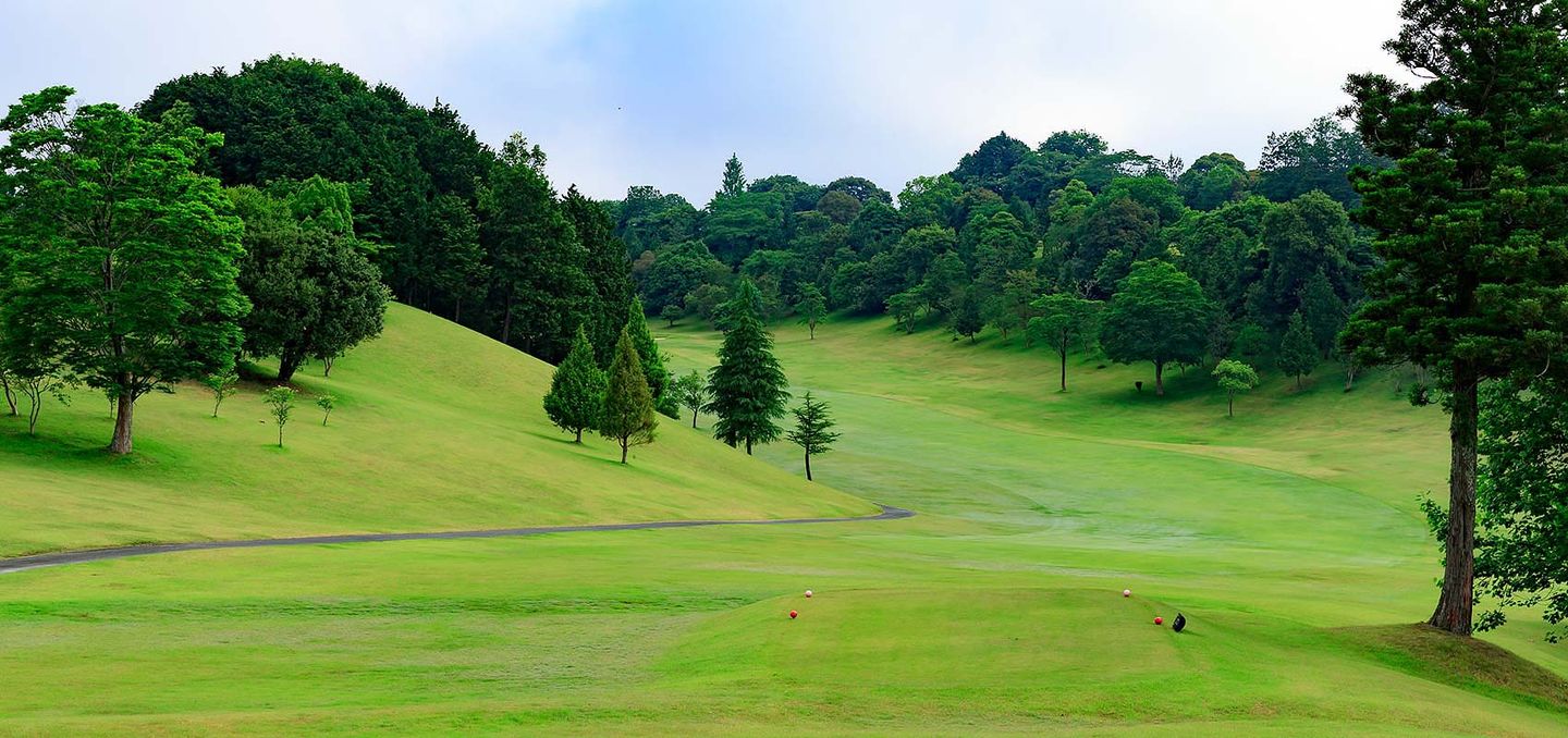 King/Prince Course