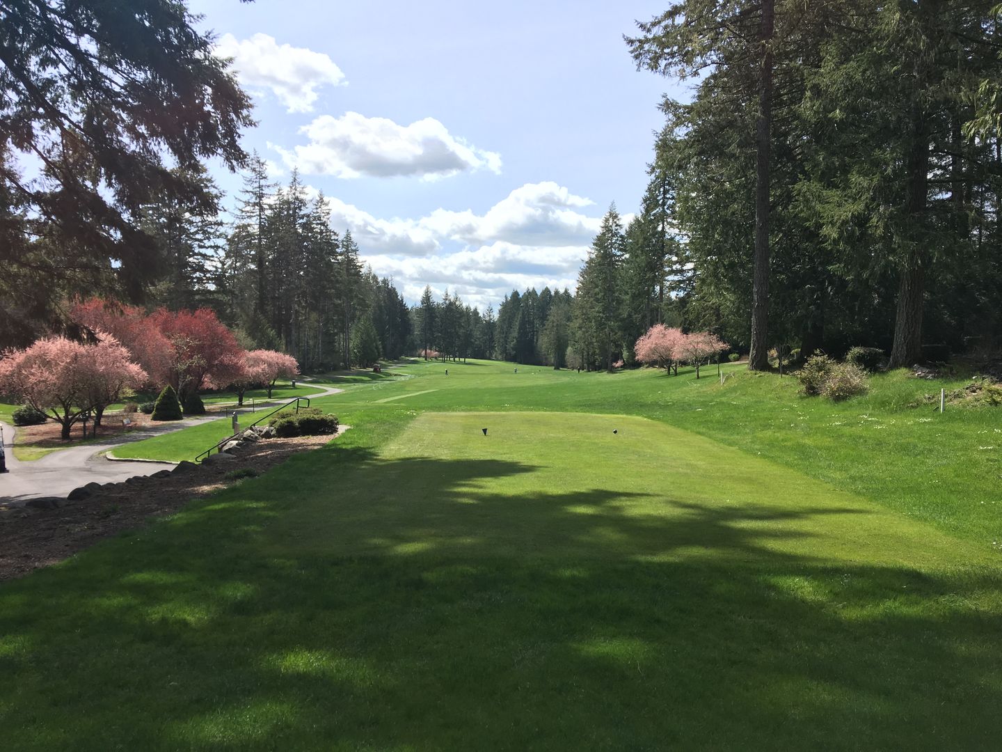 Lake Limerick Country Club in Shelton, Washington, USA GolfPass